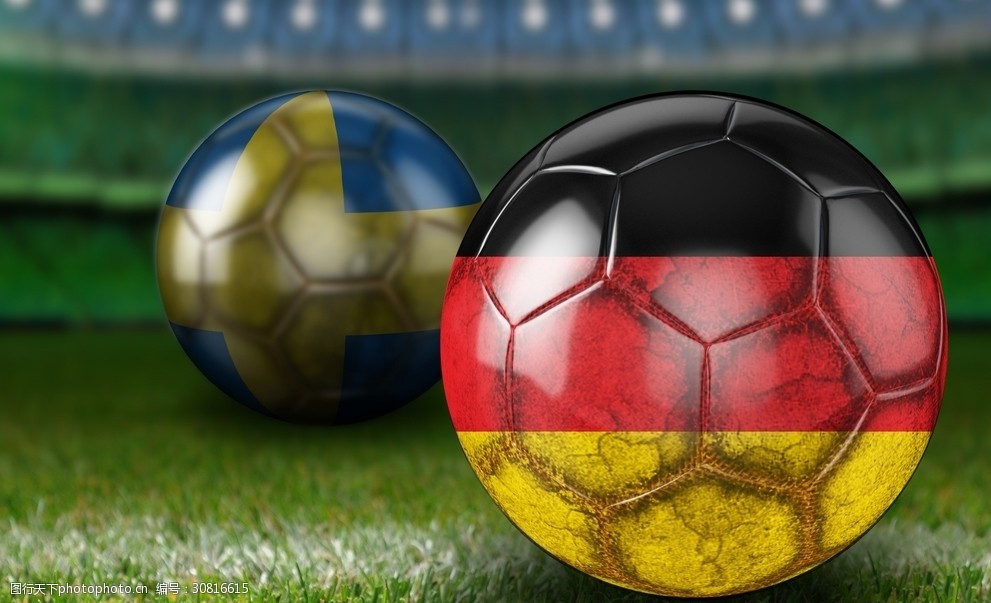 体育领域的 体育领域的