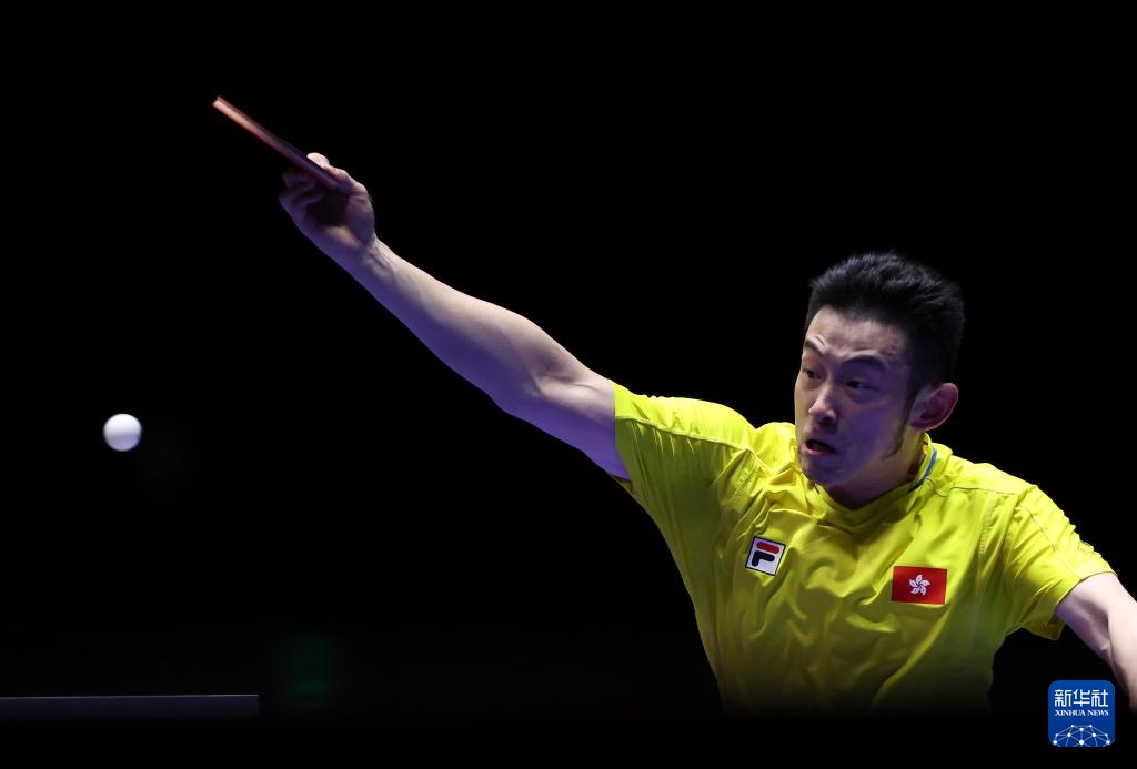 进行阵容年 进行阵容年